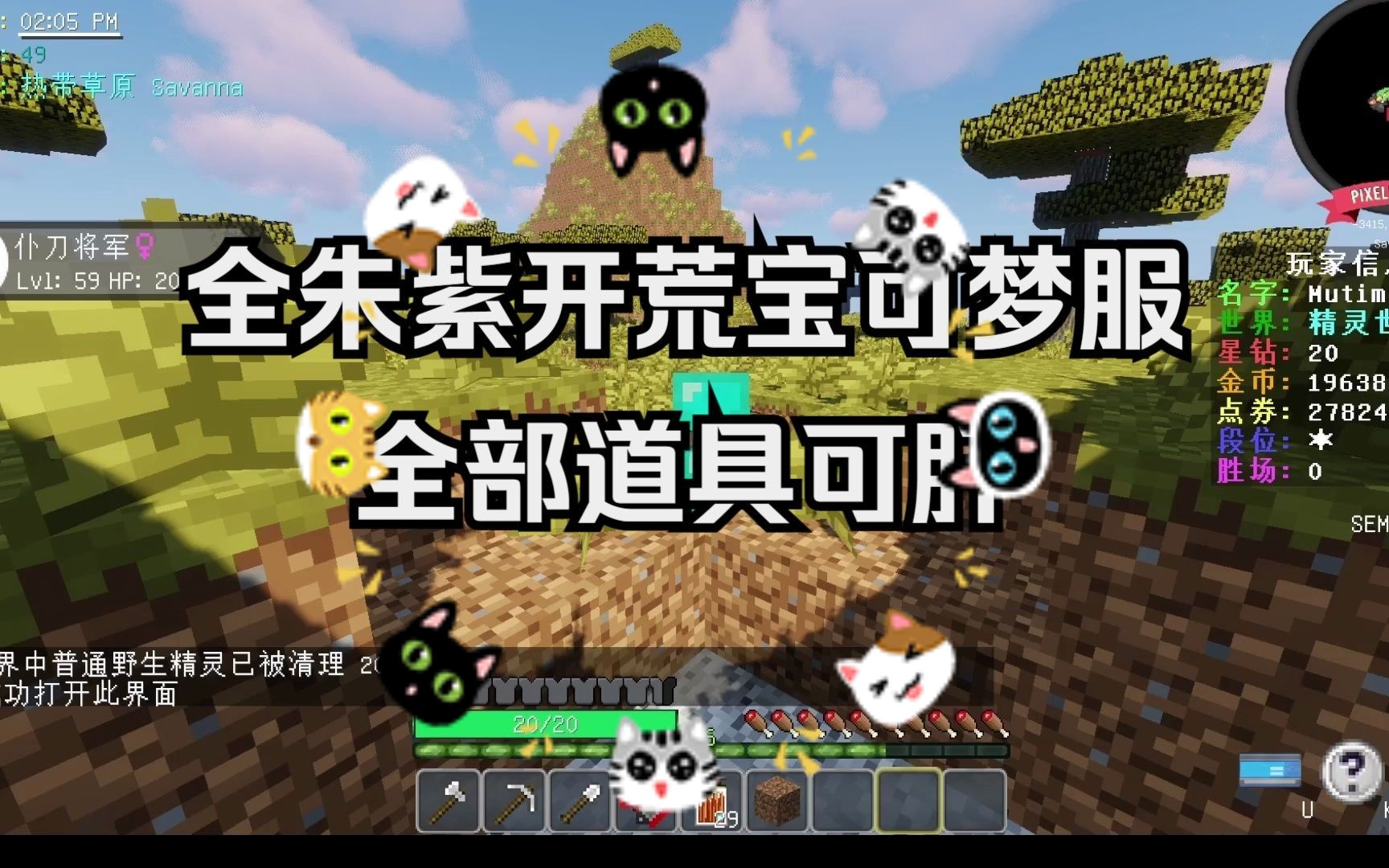 【神奇宝贝】宝可梦大师之路!在暑假玩精灵之旅!新服开荒!