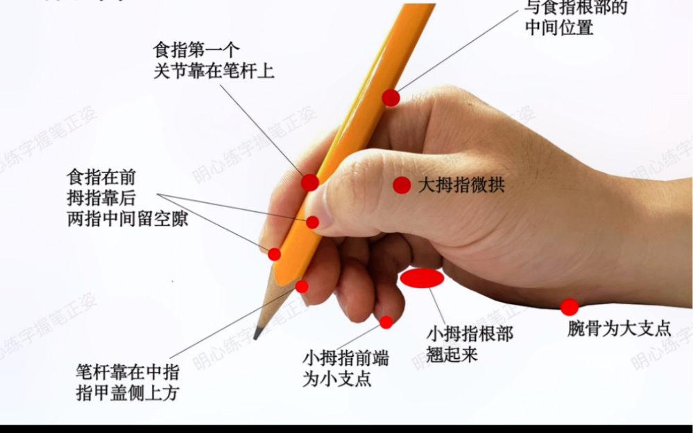 握笔姿势示意图图片