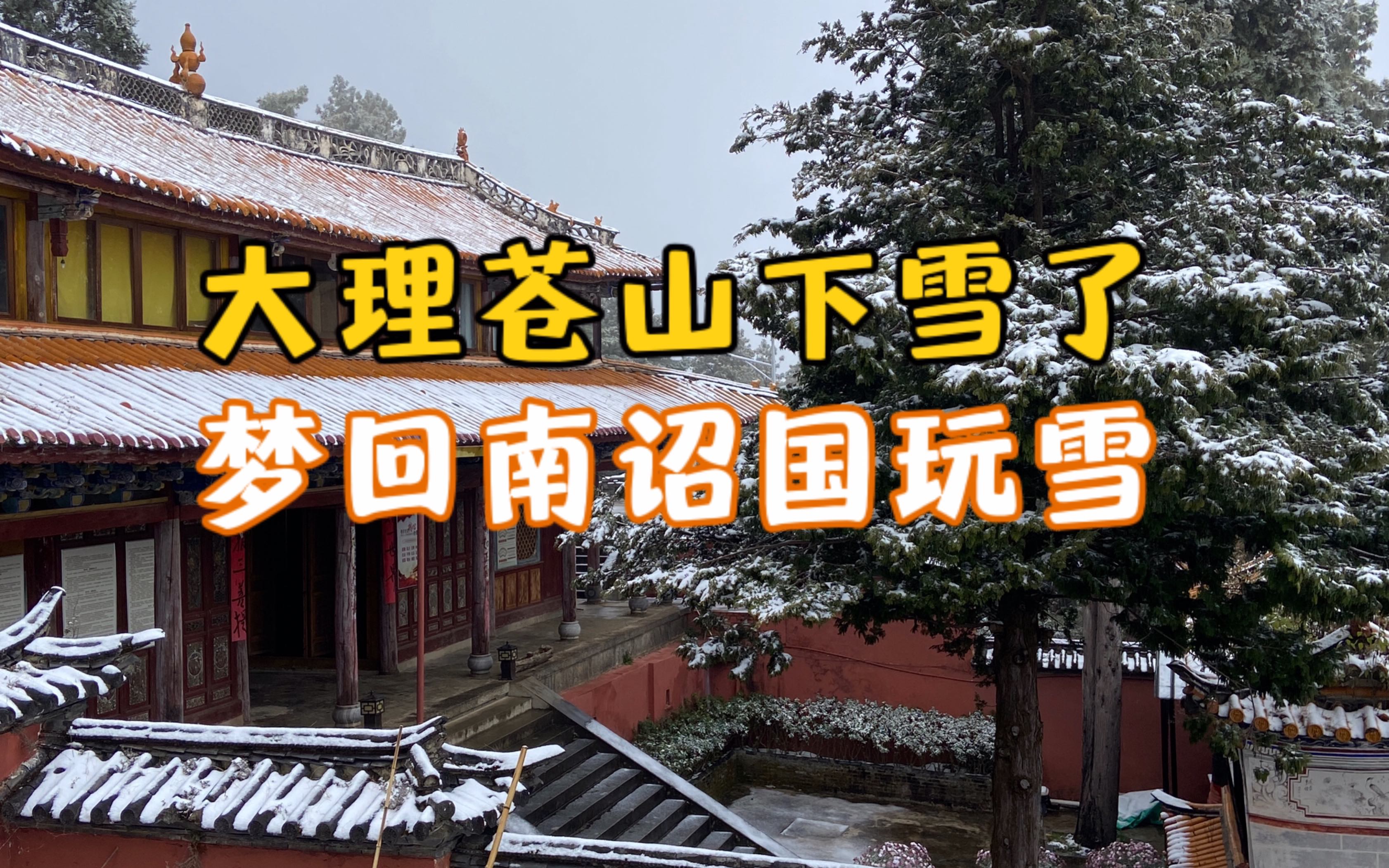 大理迎来初雪,上苍山玩雪,赏雪中百年古寺,与一猫一狗雪中嬉戏|旅行|vlog|生活|出行哔哩哔哩bilibili