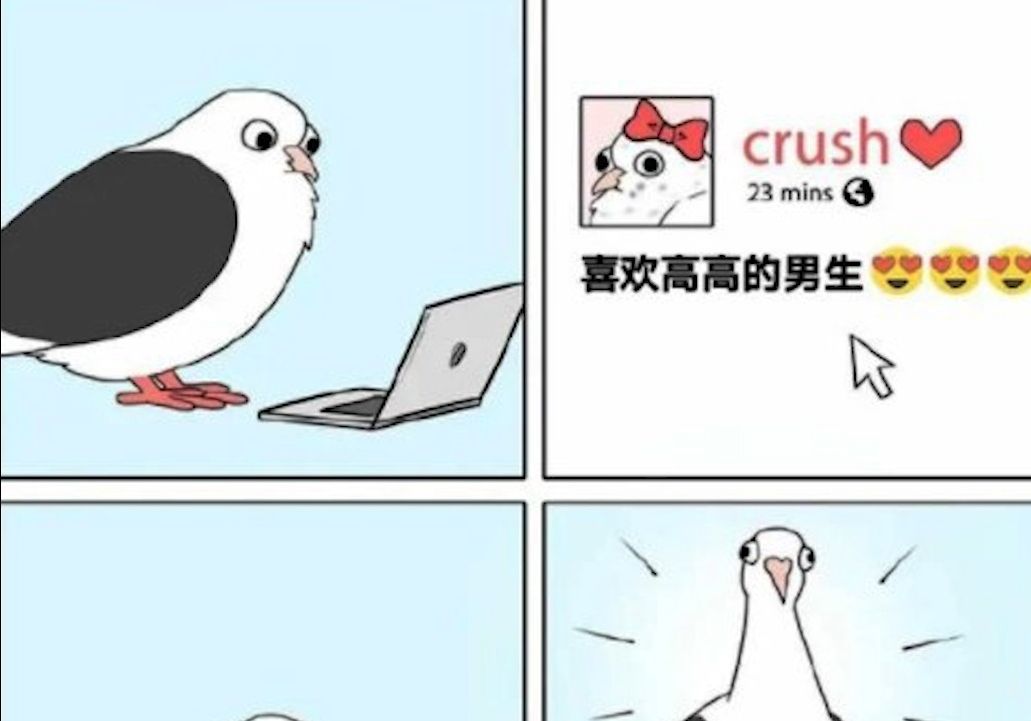 【囧图一乐】喜欢高高的男生❗哔哩哔哩bilibili