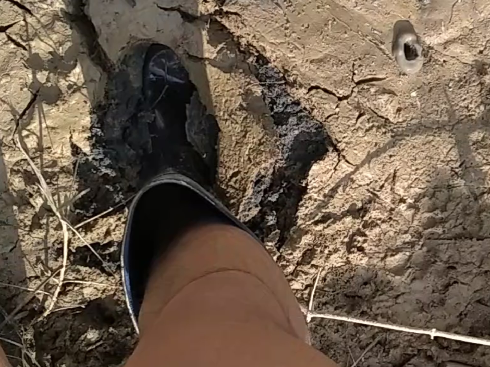 穿雨靴在黑泥潭踩泥灌泥