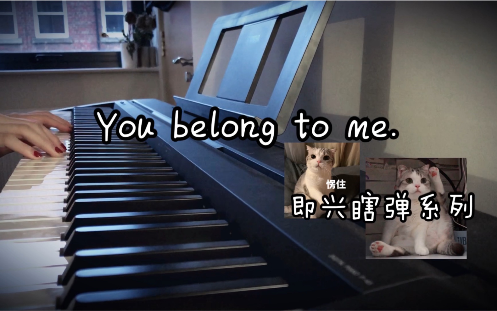 [图]钢琴即兴 Carla Bruni- You belong to me (cover）