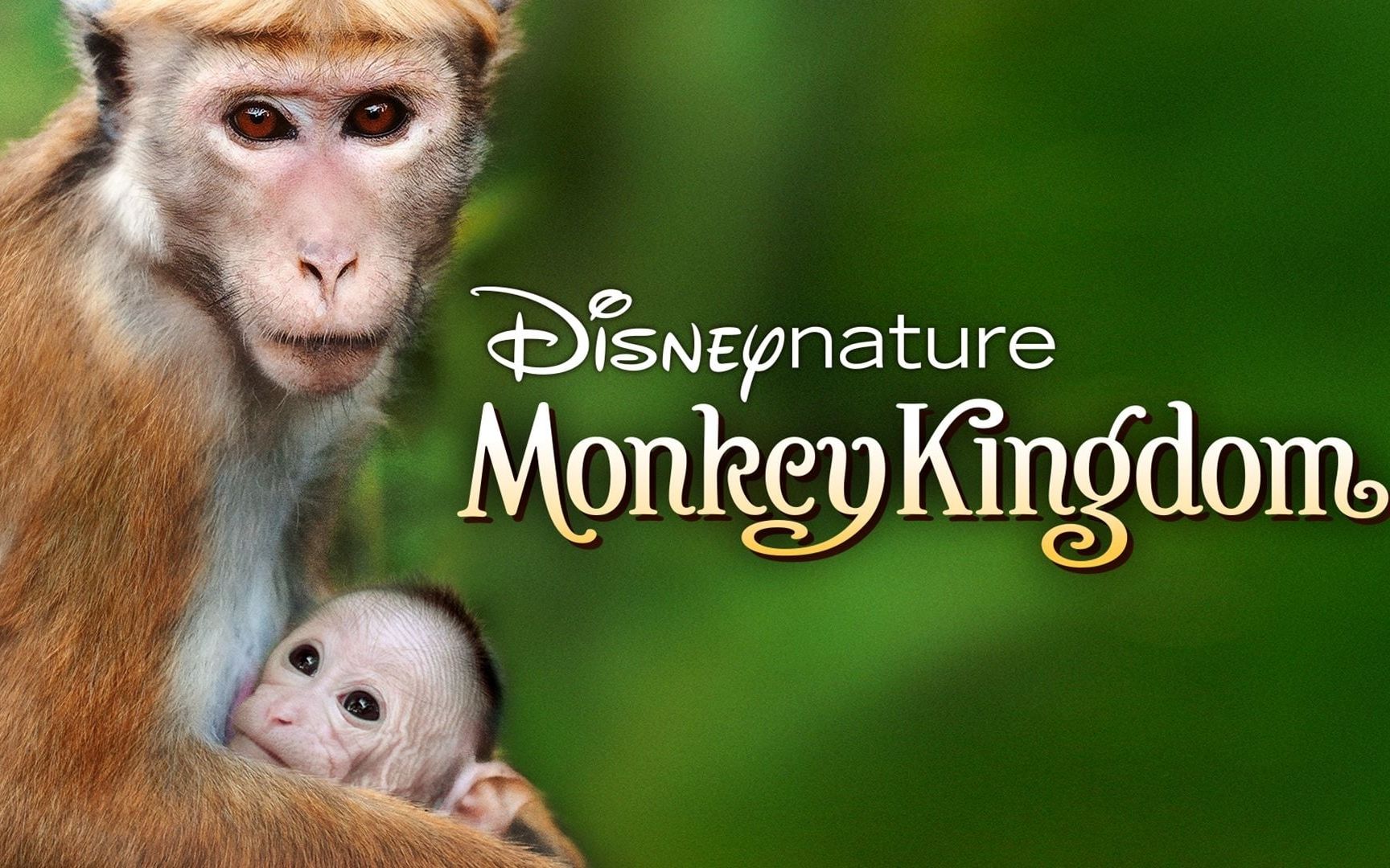 [图]【Disney】猴子王国 1080P中字+5.1声道（2015）Monkey Kingdom