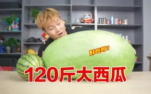 Download Video: 试吃120斤超大巨型西瓜，打开之后直接震惊！好吃吗？