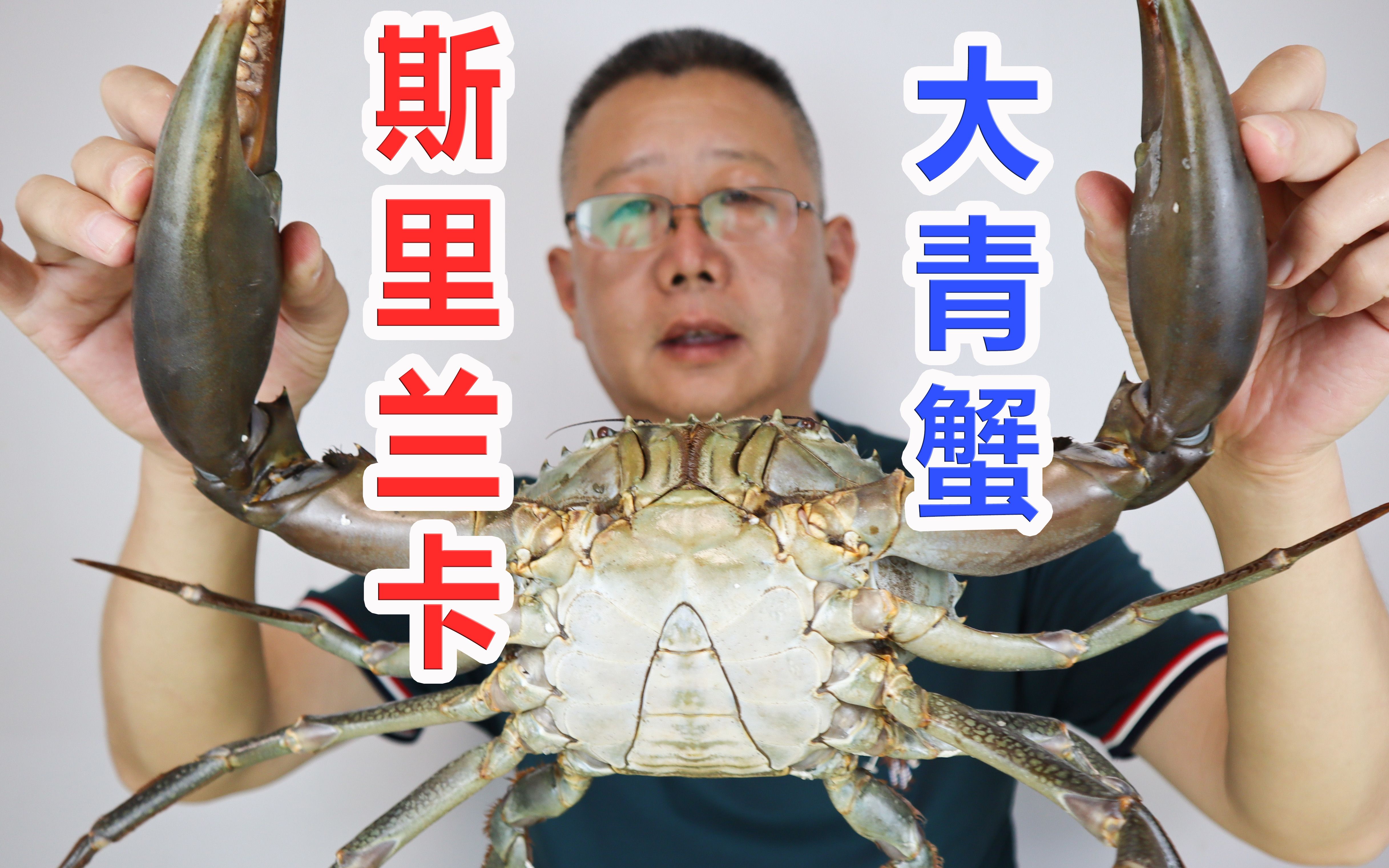 斯里兰卡大青蟹 非常生猛!一钳子夹断黄瓜 肉质很肥