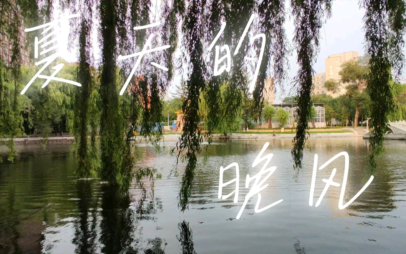 《夏天的晚风》