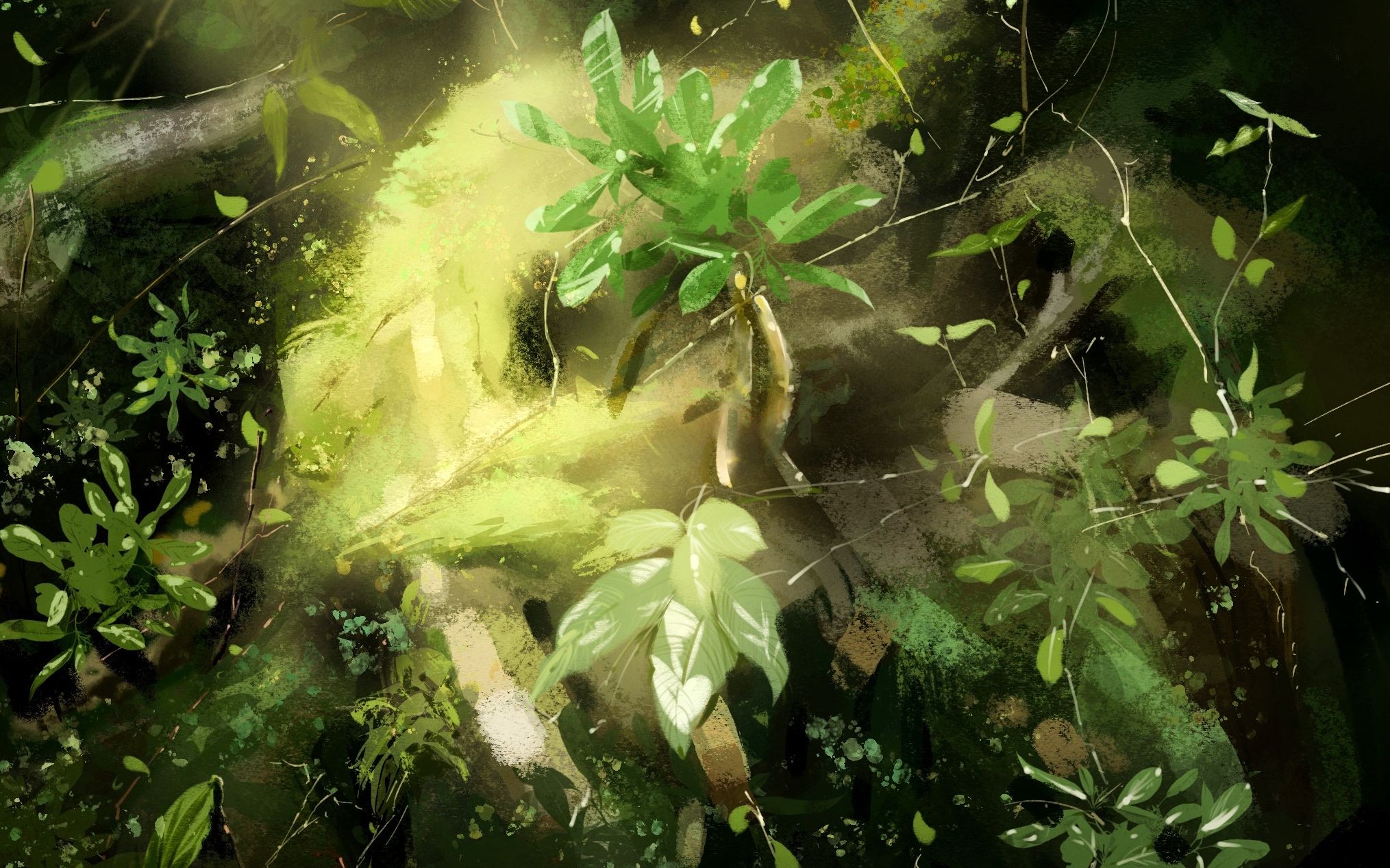 森林--procreate板绘