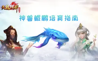 神兽鲲鹏 搜索结果 哔哩哔哩 Bilibili