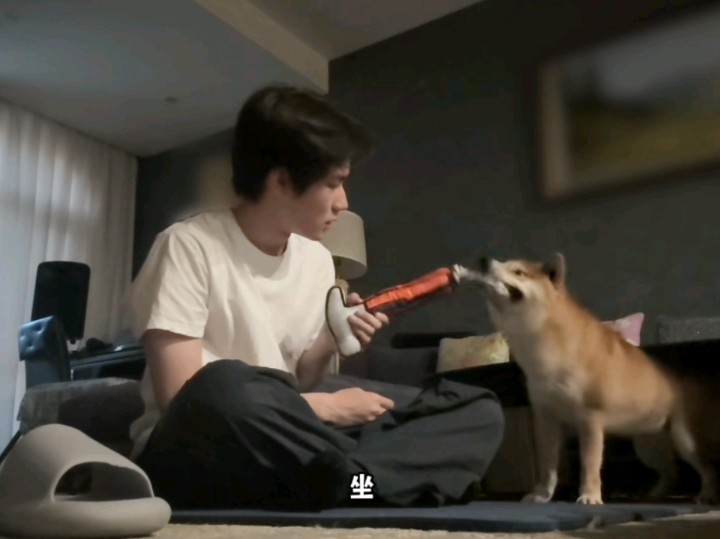 【张真源】被它真源爹宠到没边儿的呼安小宝贝