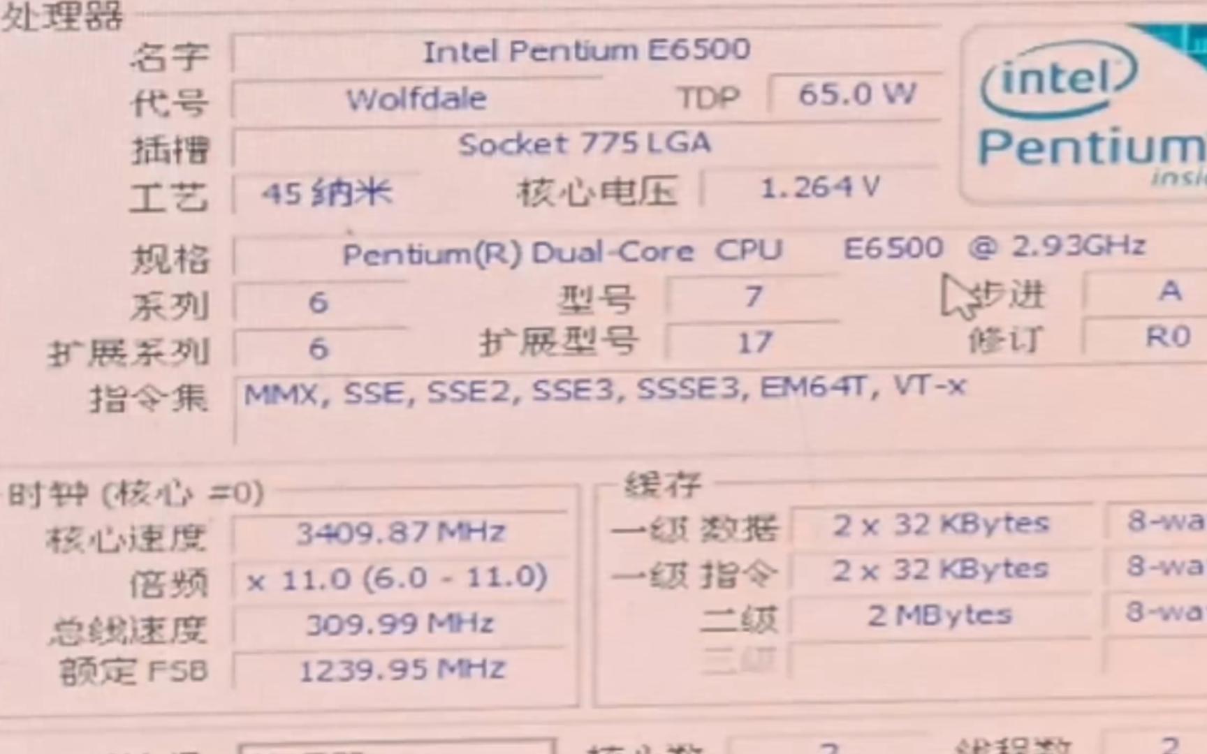 奔腾G6900参数图片