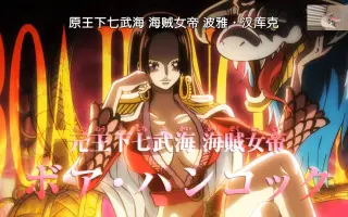 王下七武海 哔哩哔哩 Bilibili