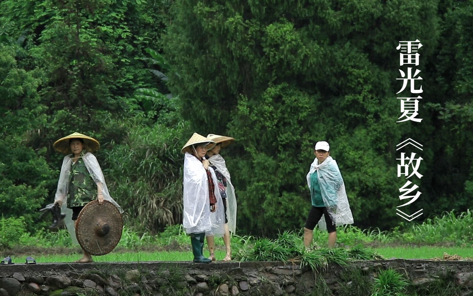 [图]时光密语，初夏，故乡。