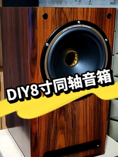 就是闲不住!用了一个下午的时间,diy了一对天朗八寸同轴音箱!