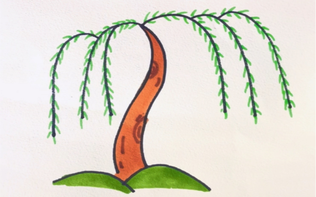 简笔画柳树的简单画法图片