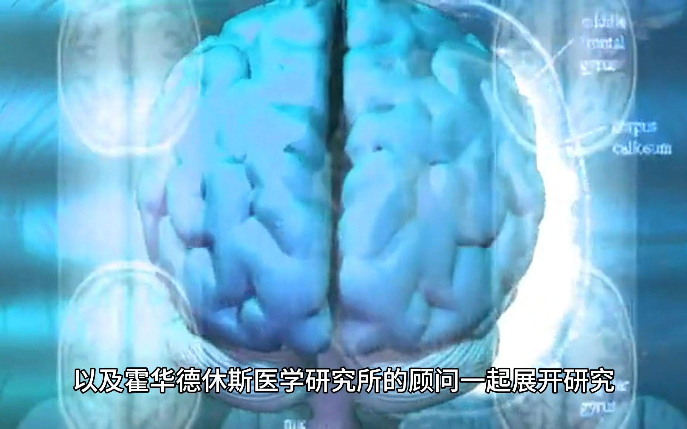 #Brainnews 【前沿快讯】谷歌联合多所顶级高校开启5年脑计划——绘制小鼠大脑23%图谱哔哩哔哩bilibili