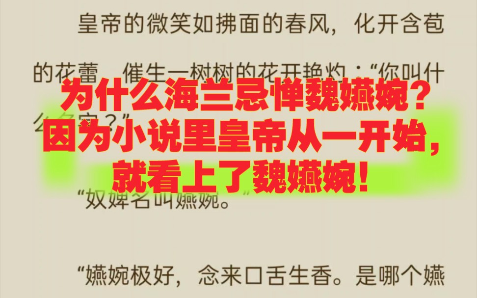 小说里,魏嬿婉和皇帝相遇,皇帝从一开始就看上了魏嬿婉!哔哩哔哩bilibili