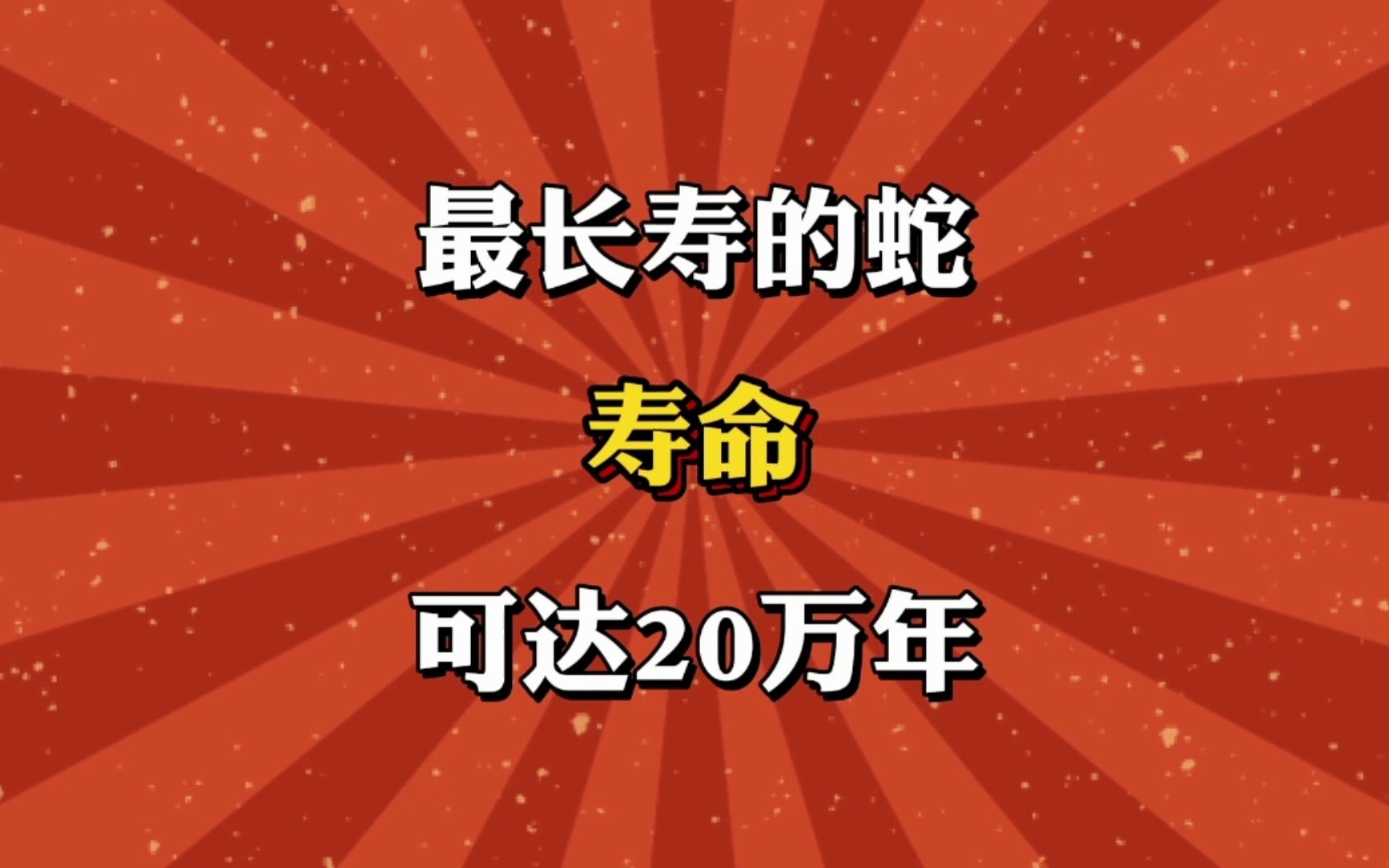 世界上最长寿的蛇,寿命可达20万年!哔哩哔哩bilibili