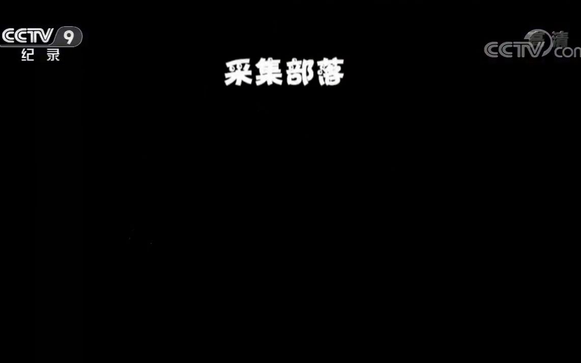 【央视】纪录频道CCTV9《采集部落》哔哩哔哩bilibili