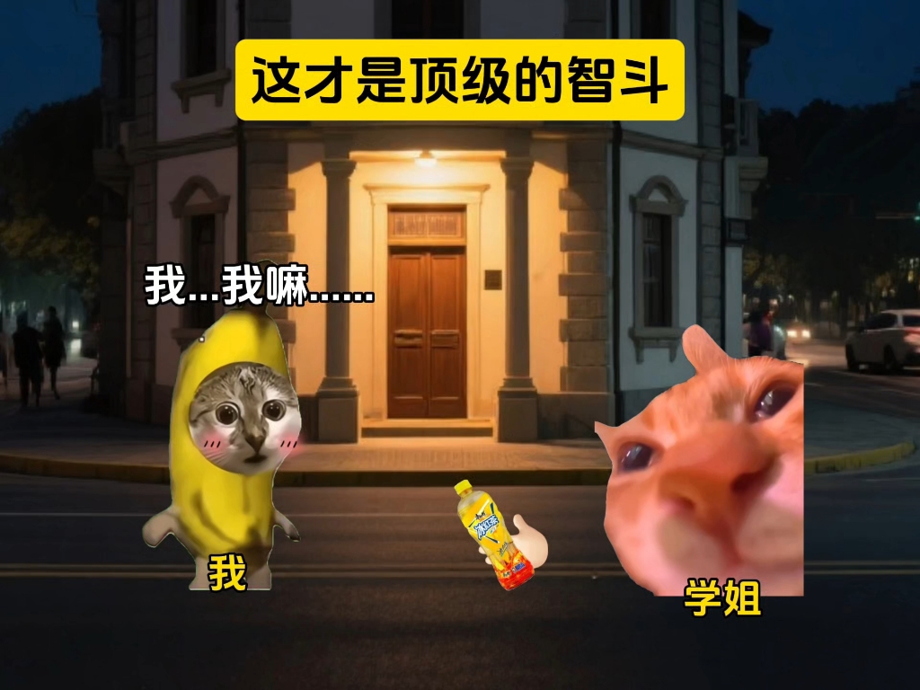 这才是顶级的智斗#猫meme#搞笑#抽象#万万没想到#智斗