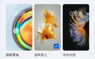 Download Video: 华为mate50系列主题，有华为和荣耀版本。有喜欢的吗看看吧