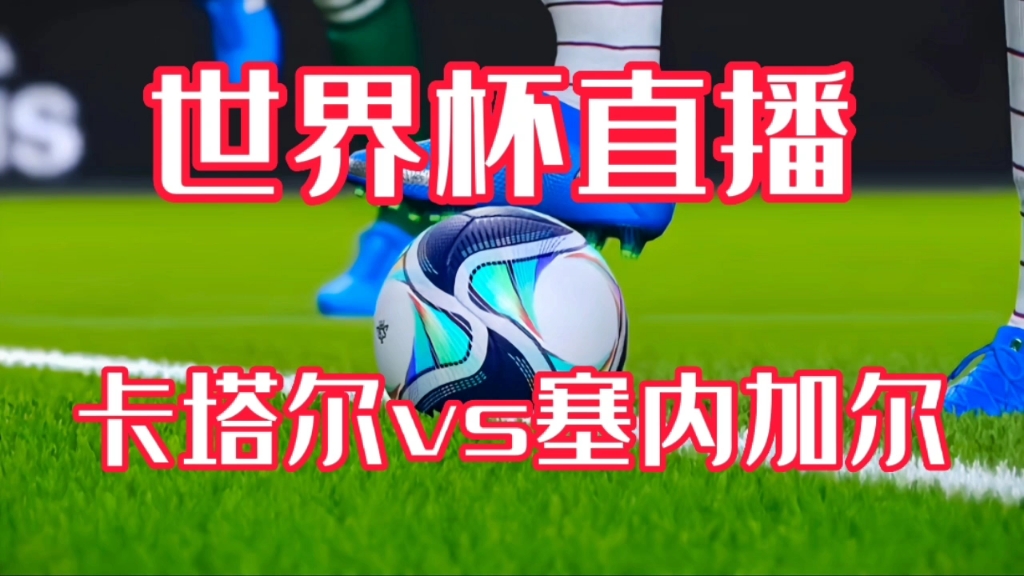 卡塔尔vs塞内加尔比赛直播…2022卡塔尔世界杯直播现场视频模拟哔哩哔哩bilibili