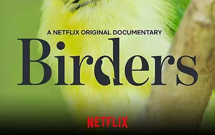 【观鸟者(Birders)】| 2019Netflix纪录片 | 英语中字哔哩哔哩bilibili