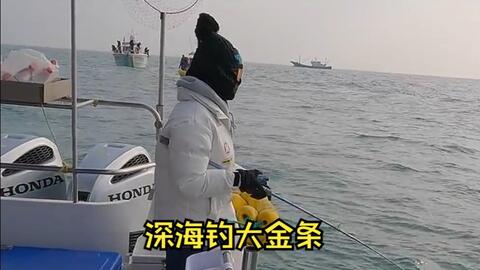 听说春节前浙江黄鱼身价暴涨，帅小伙包船能否稳赚一波？_哔哩哔哩_bilibili