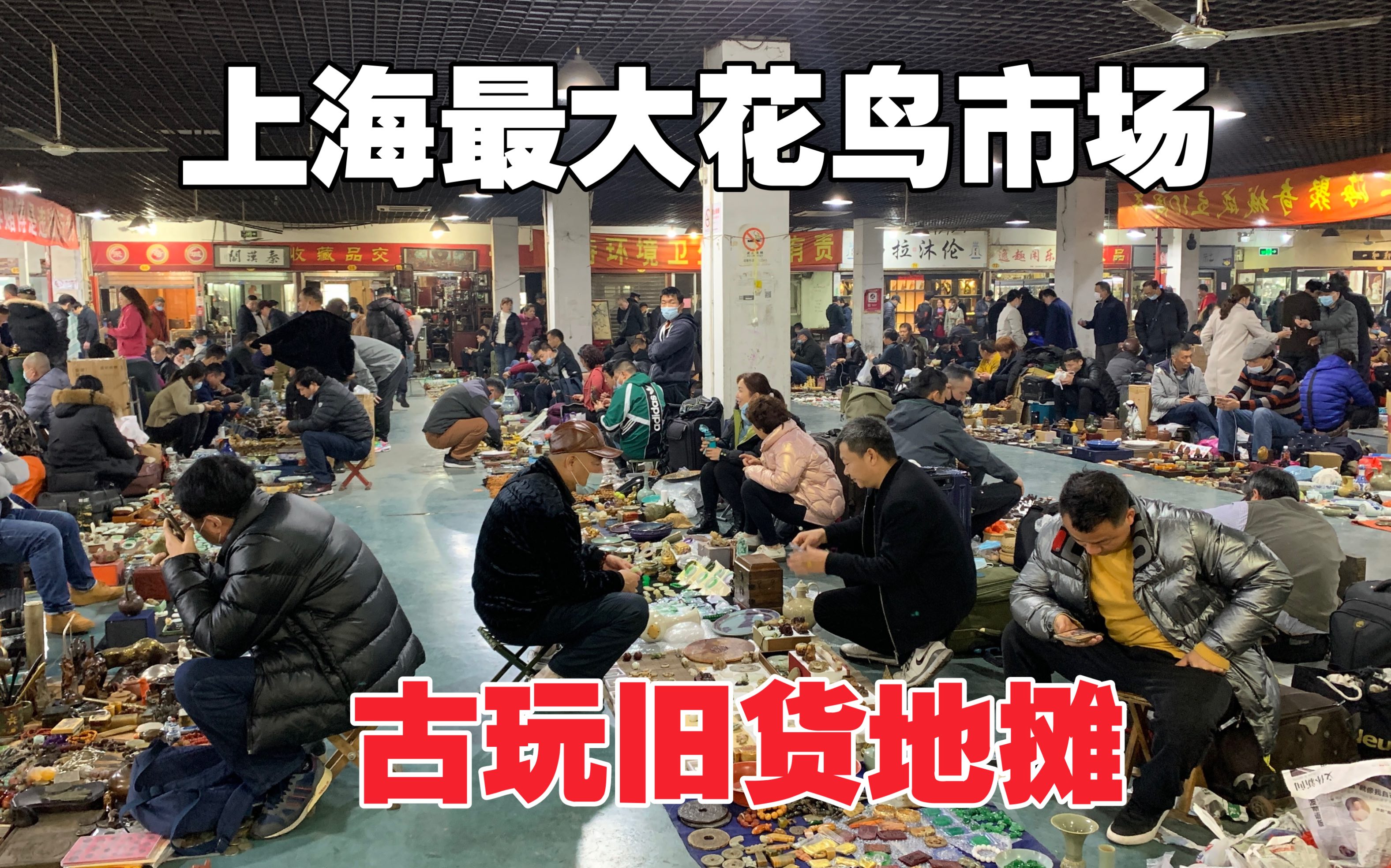 上海黄山花鸟市场图片