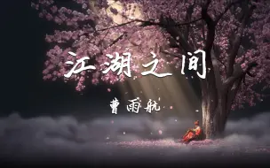 Descargar video: 曹雨航 - 江湖之间「不过相忘江湖之间 忘不了惊鸿一眼」【动态歌词】♪