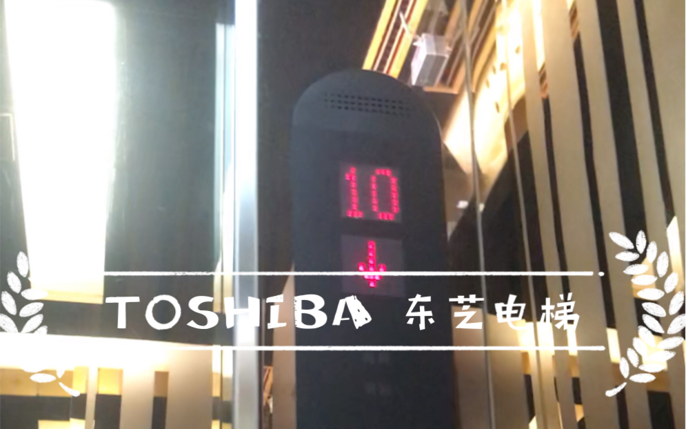 TOSHIBAⷮŠ东芝电梯 in成都群光广场客梯哔哩哔哩bilibili