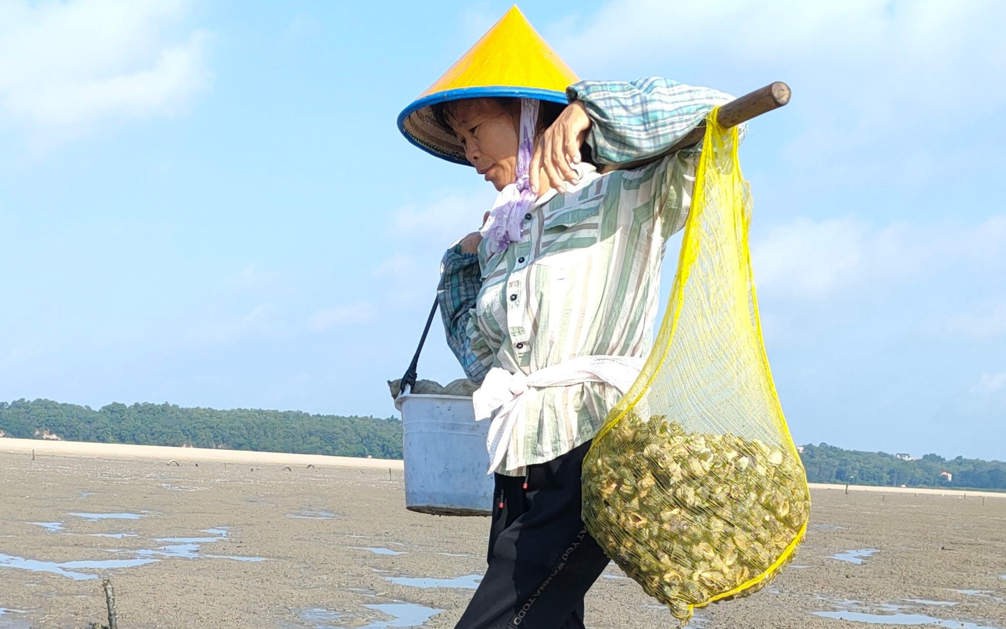 活动作品小沙墩海螺泛滥小渔赶海发现辣螺窝这次捡到难挑回