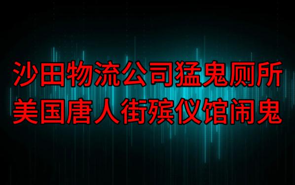 【粤语纯音频】沙田物流公司猛鬼厕所,美国唐人街殡仪馆闹鬼哔哩哔哩bilibili