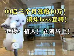 Descargar video: 当00后三个月涨粉10万，老板直接电话HR…