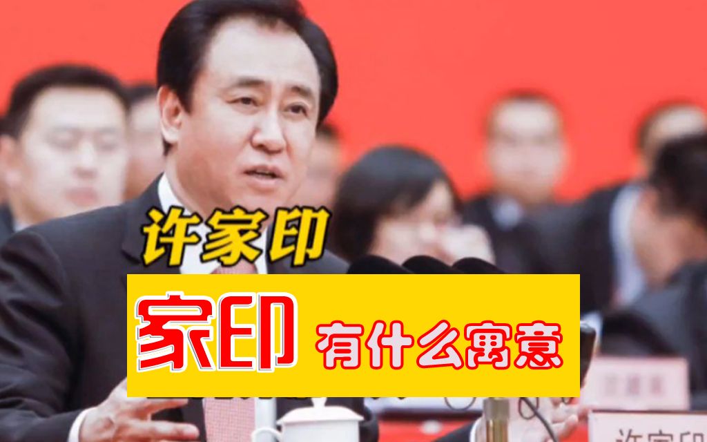 恒大许家印的名字有什么寓意?哔哩哔哩bilibili