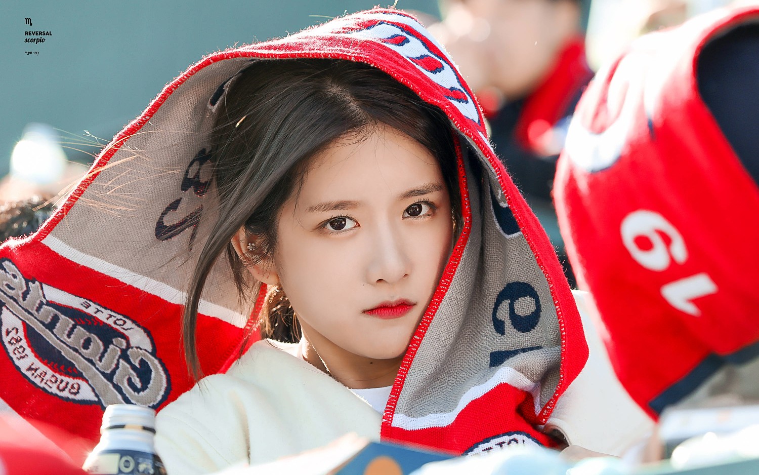 [宇宙少女]葡挞k回归时恩熙,exy中文介绍专辑_哔哩哔哩_bilibili