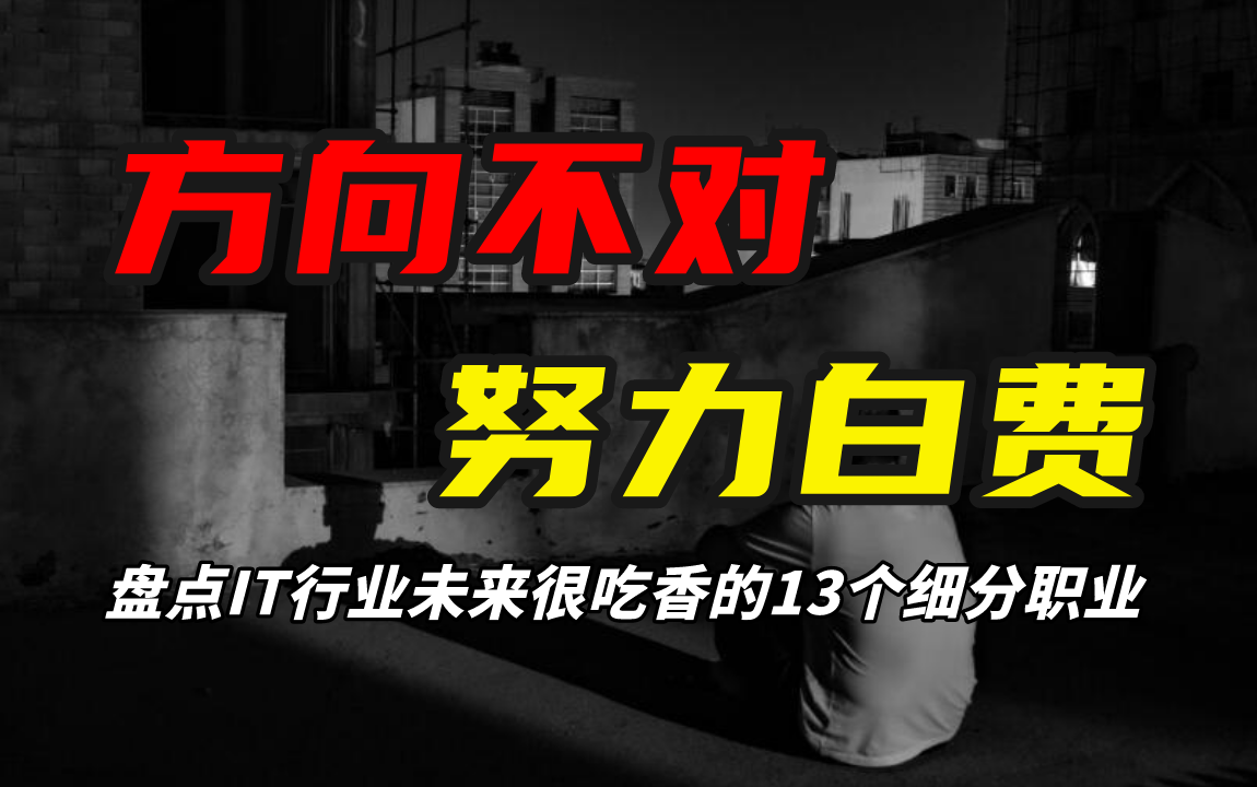 IT行业未来很吃香的13个细分职业,99%的程序员不知道!哔哩哔哩bilibili