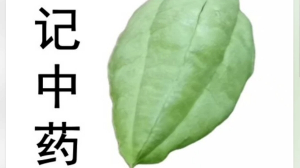 固本益肠丸的功效(固本益肠丸:缓解肠胃不适,保护健康)