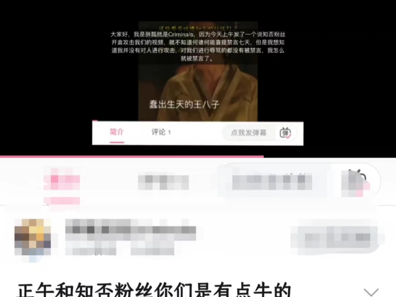 正午和某赵姓女演员的粉丝们:不要在作死了,再作妖下去你们姐姐真的会喜提国家再次批评!哔哩哔哩bilibili