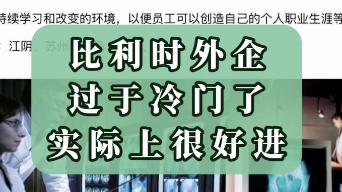 比利时外企对于大家来说确实是很陌生了,但其实很多冷门外企反而是更香的哔哩哔哩bilibili