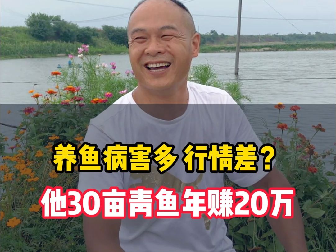 养鱼一年赚多少钱合适(养鱼1000只利润和成本)