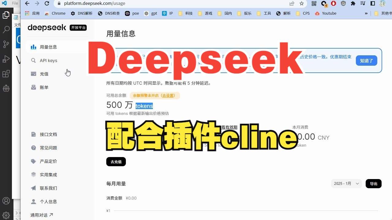 deepseek api如何使用?哔哩哔哩bilibili