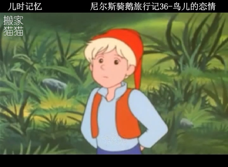 童年记忆 52集全 80版国语配音尼尔斯骑鹅旅行记36.鸟儿的恋情