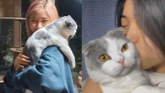 ITZY留真是货真价实的猫奴!! 和小月的互动