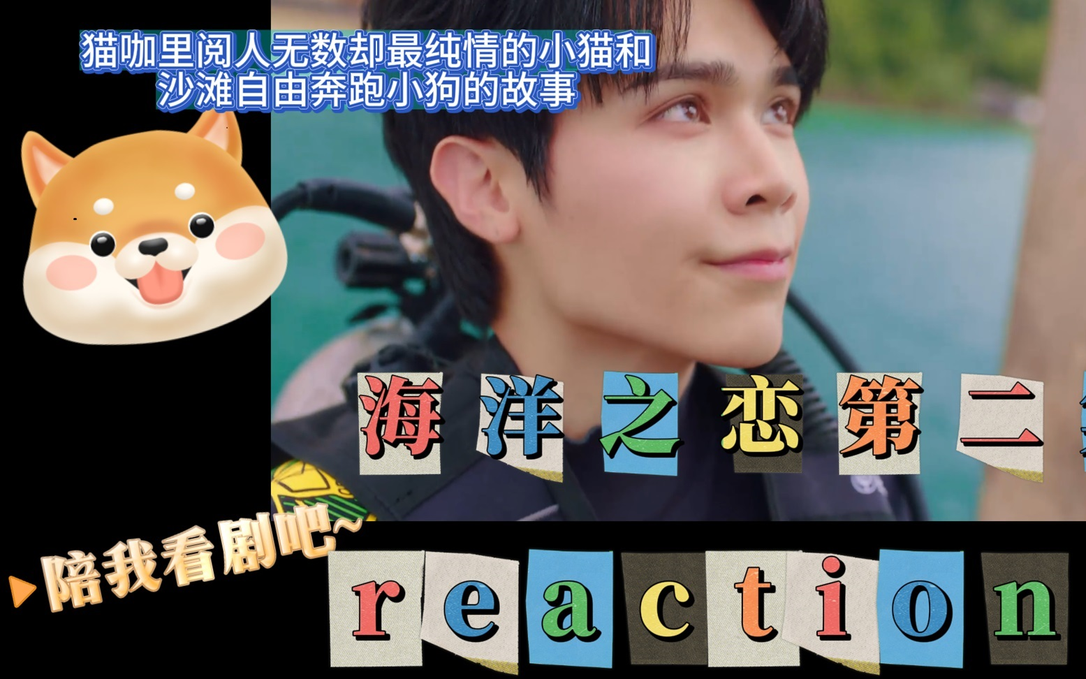 [图]【海洋之恋】第二集reaction 猫咖里阅人无数却纯情的小猫和沙滩自由奔跑狗子的故事