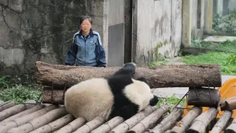 下载视频: 虫洞：渝可渝爱昨晚又露营啦，兄妹俩睡一起好乖2024.3.19