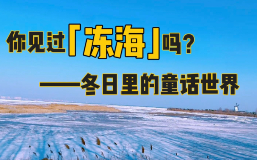 北戴河冻海:冬日里的童话世界,冬季旅行好去处哔哩哔哩bilibili