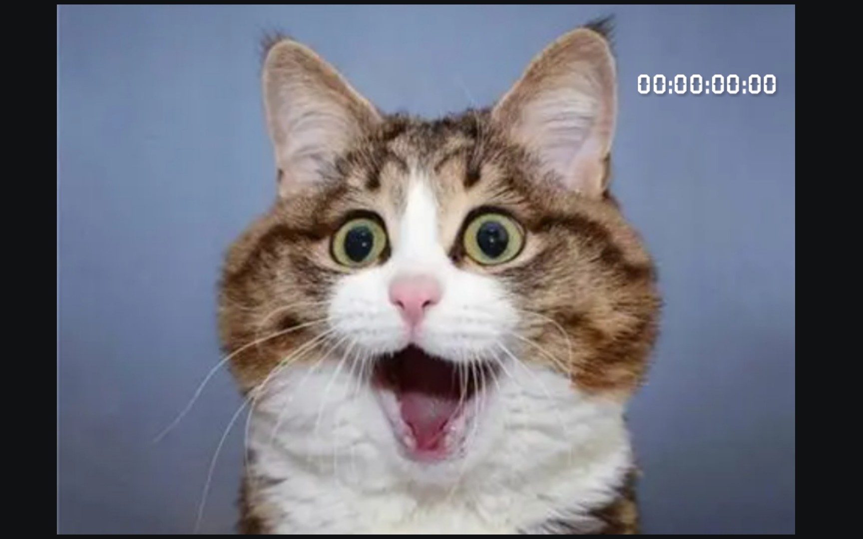 至此艺术,防止抑郁