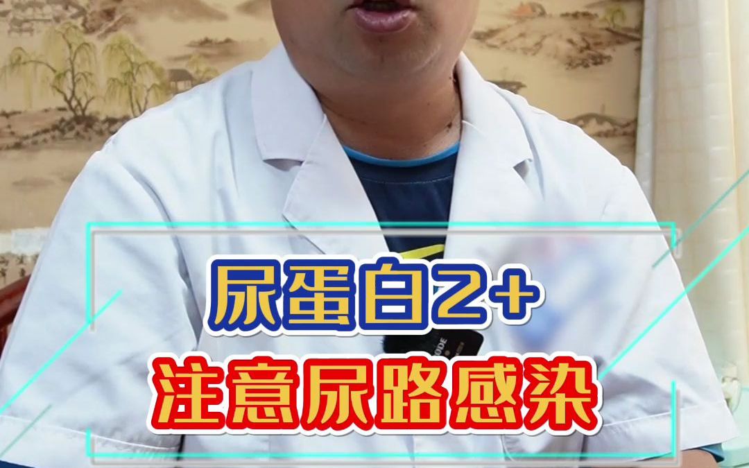 尿蛋白2+这时你一定要注意!哔哩哔哩bilibili