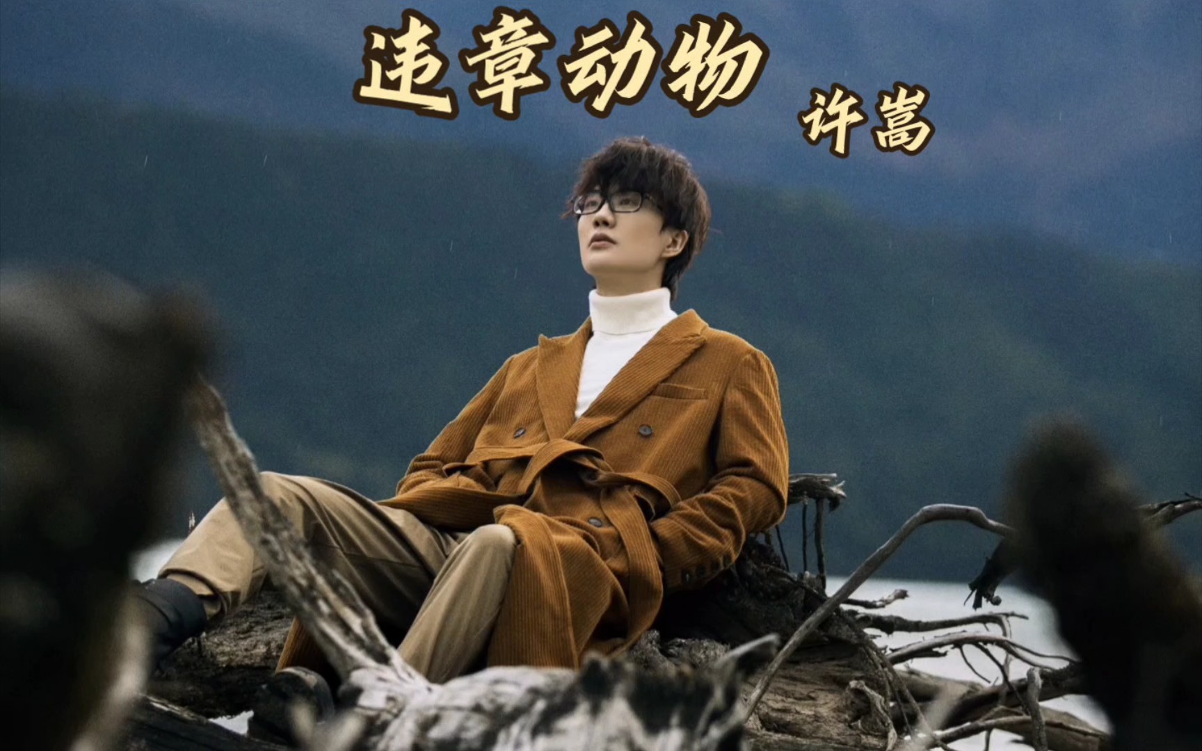 "唉" 许嵩「违章动物」