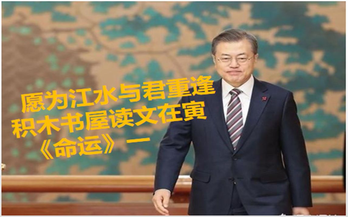 愿为江水与君重逢积木书屋读文在寅命运一